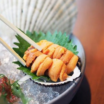 Uni Sashimi